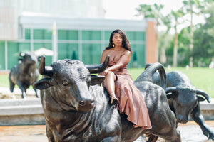 Brown Beauty Gown