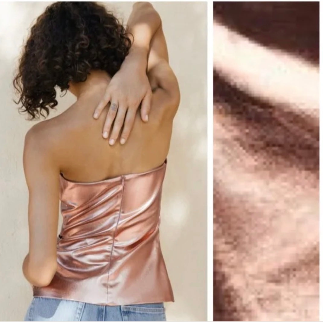 Metallic Bronze Strapless Top (BRAND NEW W/TAGS)